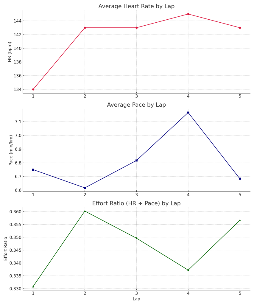 Line chart showing lap-by-lap heart rate, pace, and effort ratio from July 22, 2025 Easy Run. Heart rate gradually increases across five laps, pace remains steady, and effort ratio shows a slight upward trend, confirming aerobic Zone 2 consistency.